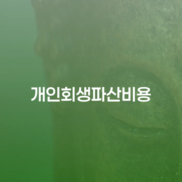 다중채무 개인파산 지금알아보기