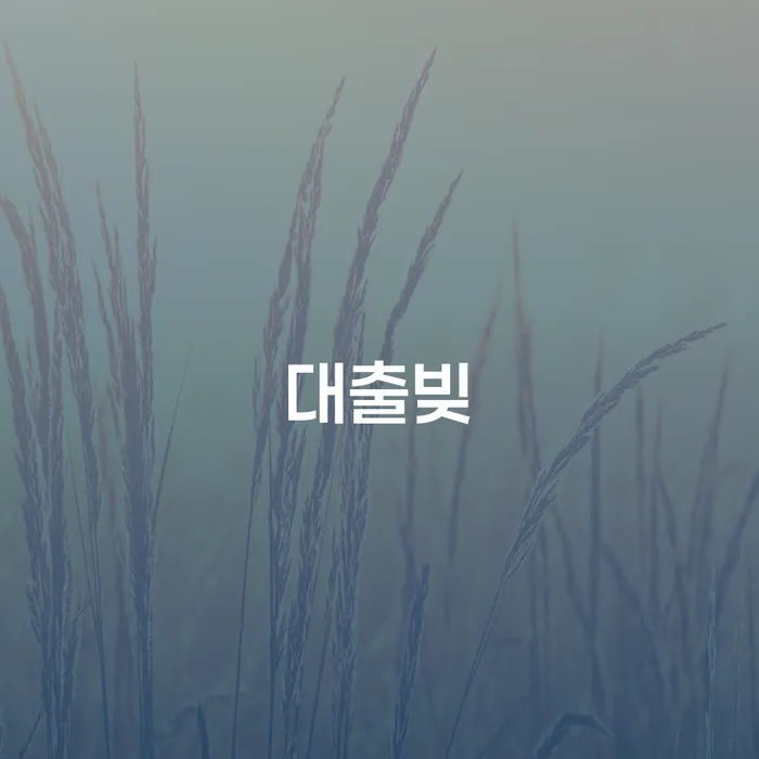 개인회생필요서류 개인회생 문제해결방법 미리알기