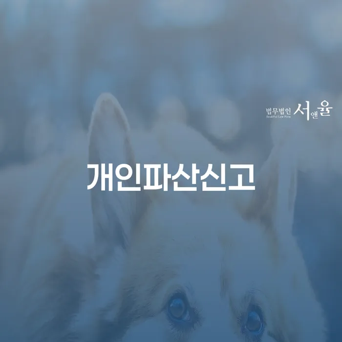 신용카드 연체 5일 채무조정제도을 이용하여 진행하는