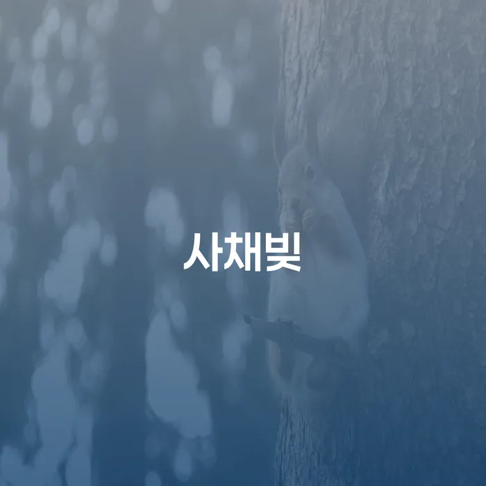 개인회생 기각률 낮고 연체 채무 신속해결방법 해결하기