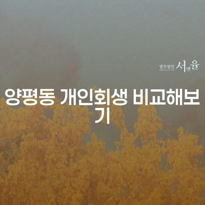양평동 개인회생 비교해보기
