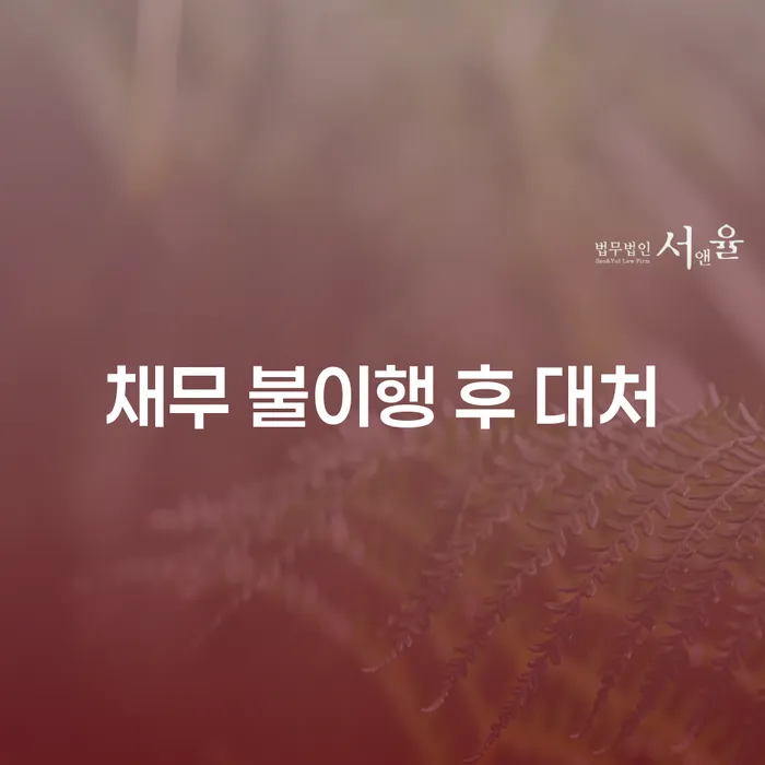 채무 불이행 후 대처, 어떻게 해야 할까요?