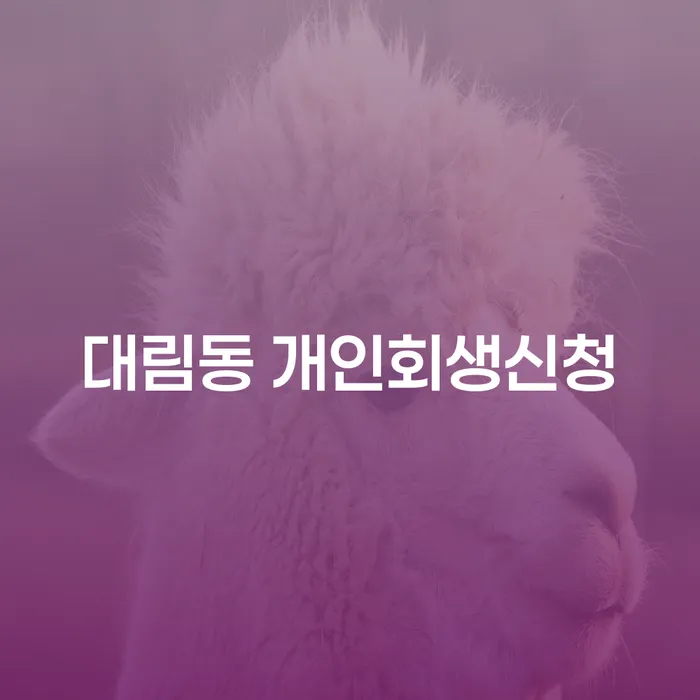 대림동 개인회생신청, 정말로 필요한가요?