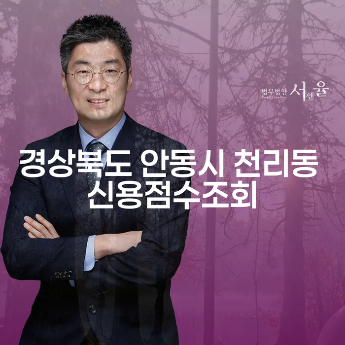 경상북도 안동시 천리동에서 신용점수 조회 및 대출 8억원 이상 개인파산 준비 어떻게 해야 할까요?