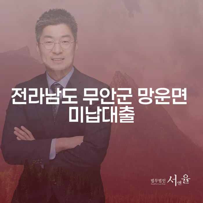 전라남도 무안군 망운면 미납대출, 어떻게 해결할 수 있을까요?