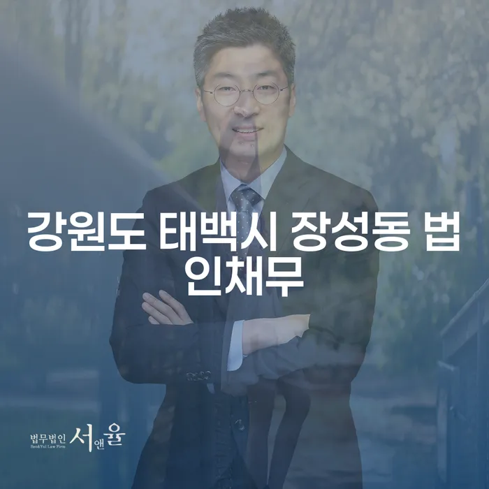 강원도 태백시 장성동 법인채무, 해결할 방법은 무엇일까요?