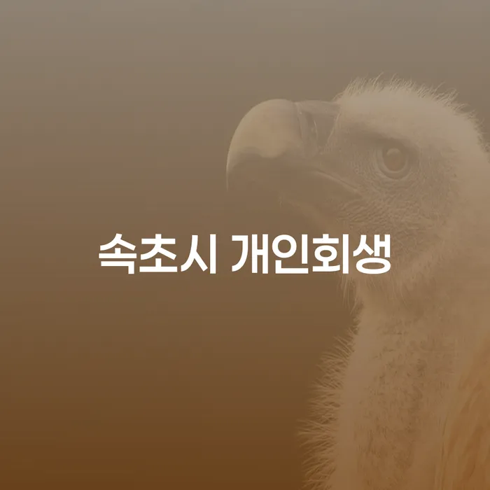 속초시에서 개인회생을 통해 도박빚 8000만원을 해결할 수 있을까요?