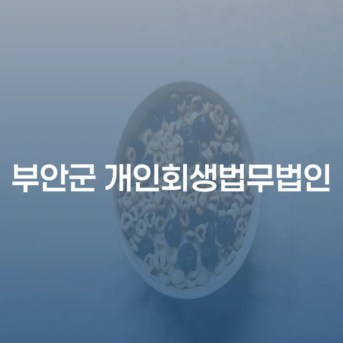부안군에서 개인회생을 통해 국세미납 문제를 해결할 수 있는 방법은?